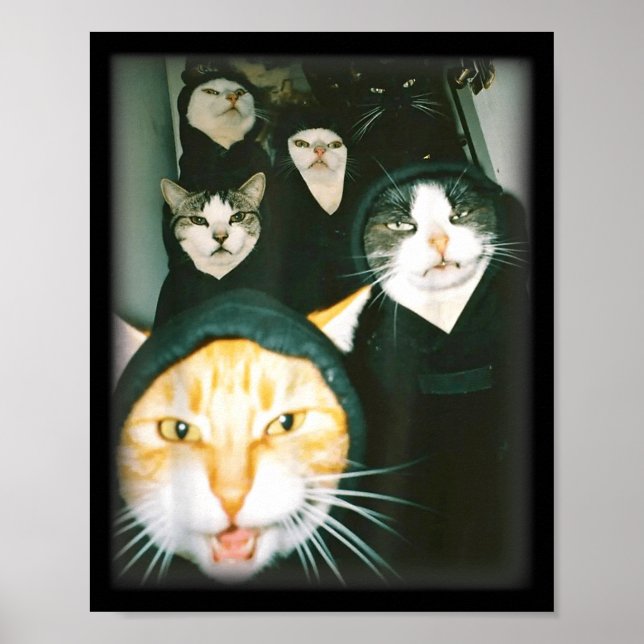 Cat Gang Meme Funny Chaotic Cats Unhinged Feline H Poster (Vorne)