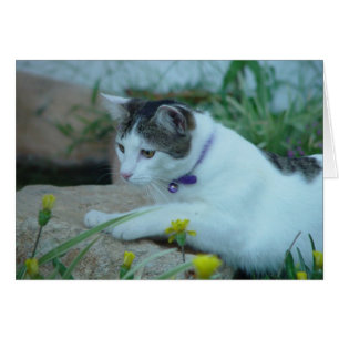 Cat Garden Gazing Grußkarte