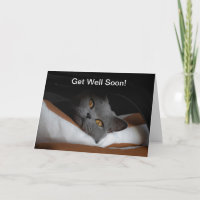 Cat Get Well Balon Customizable