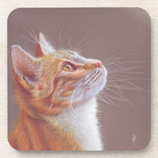 Cat  getränkeuntersetzer (Vorderseite)