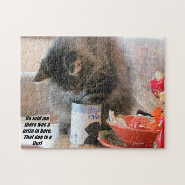 Cat got punked puzzle (Horizontal)