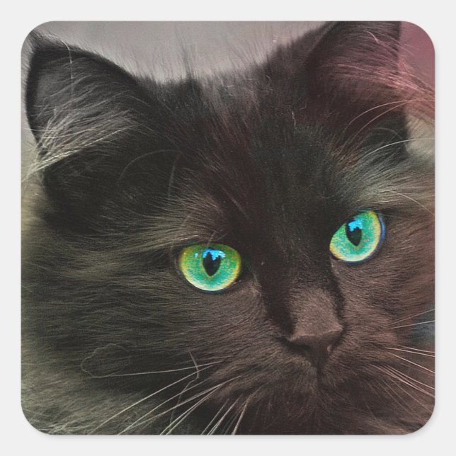 Cat Green Eyes Quadratischer Aufkleber (Vorderseite)