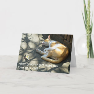 Cat Greetings Card - Was für ein größeres Geschenk Karte