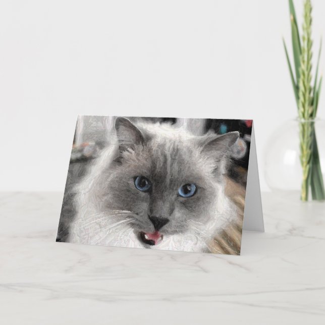 Cat Grußkarte Karte (Vorderseite)