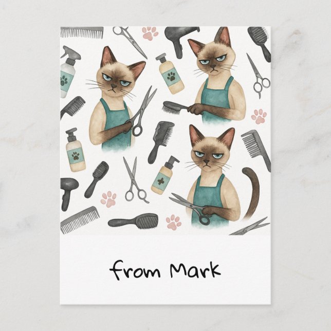 Cat Hairdresser Postkarte (Vorderseite)