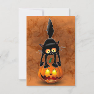 Cat Halloween erschreckter Cartoon auf Kürbiskröte Karte