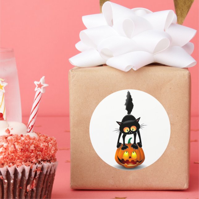 Cat Halloween erschreckter Cartoon auf Kürbiskröte Runder Aufkleber (Party)