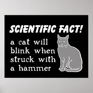 Cat Hammer Funny Print Poster Spaß