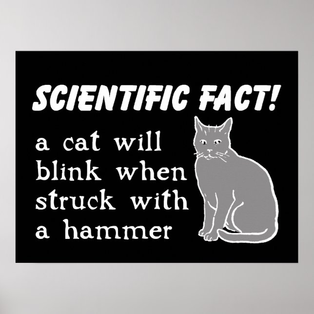 Cat Hammer Funny Print Poster Spaß (Vorne)
