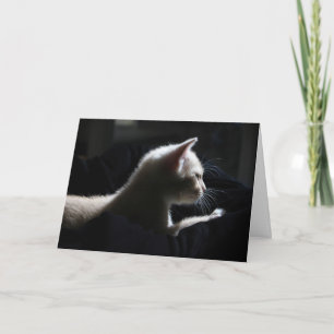 Cat Happy Birthday Card Karte