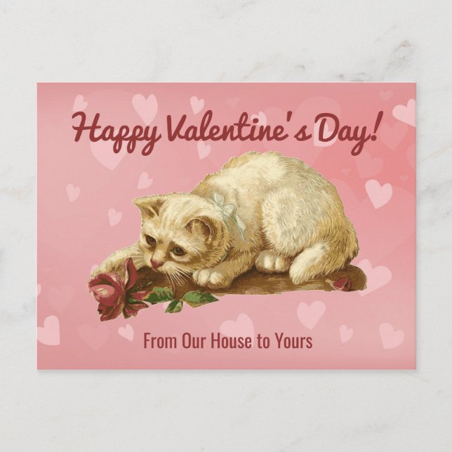 Cat Happy Valentine's Day Post Card Postkarte (Vorderseite)