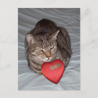 Cat Heart Bandaid Postkarte