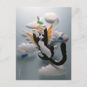 Cat Heaven Postkarte