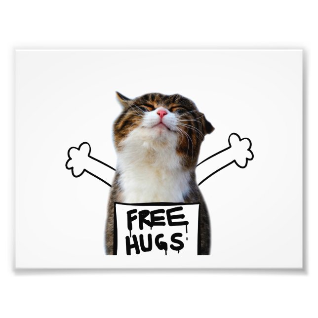 Cat Holding Free Hugs-Zeichen Fotodruck (Vorne)