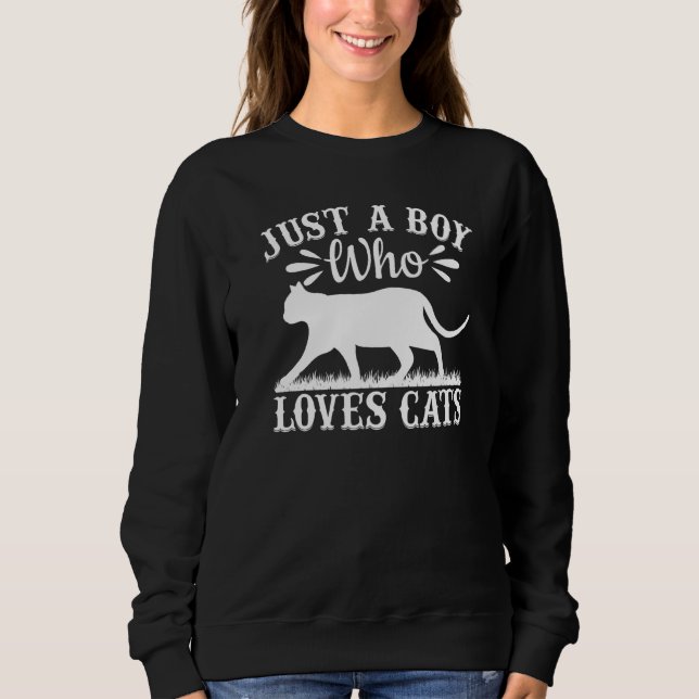 Cat I Just A Boy Who Loves Cats Sweatshirt (Vorderseite)