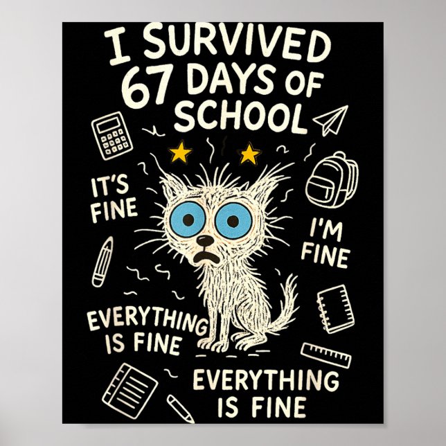 Cat I Survived 67 Days Of School Teachers Students Poster (Vorne)