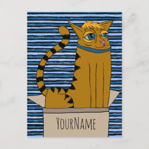 Cat in a Cardboard Box Cartoon Drawing Postkarte
