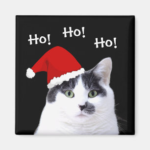 Cat in Santa Hat Ho Ho Magnet