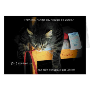 Cat Jokes - Depression Kitty