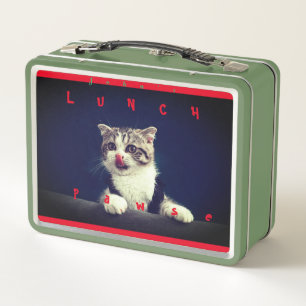 Cat Kitten Animal Fun Metal Lunch Box