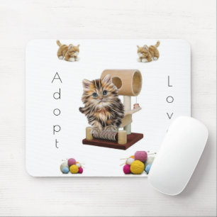Cat Kitten Condo Cat Adoption Maus Pad! Mousepad