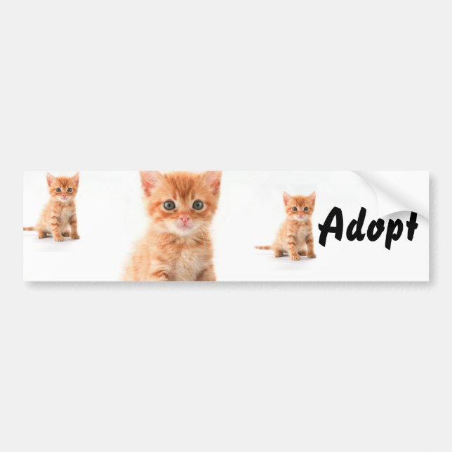 Cat Kitten Dog Adoptiere Autoaufkleber (Vorne)