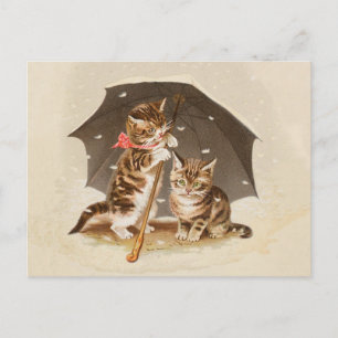 Cat Kitten kitty antiken Vintag hübsch niedlich Postkarte