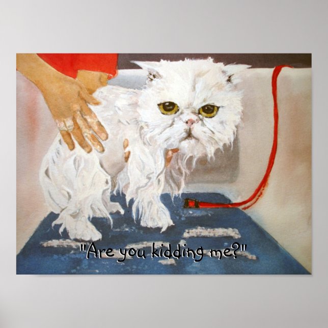 Cat Kitty Vet Pet Cat Bath Spaß Funny Poster (Vorne)