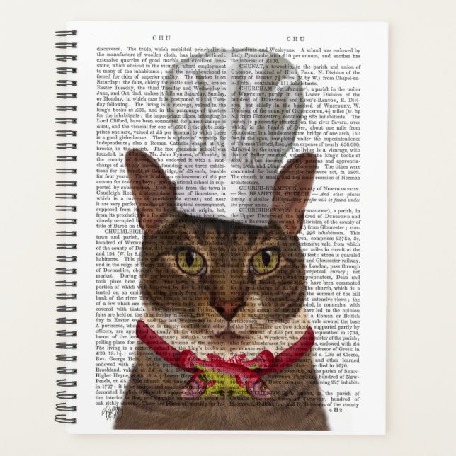 Cat Koch Planer (Vorderseite)