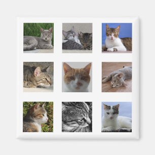 Cat Kühlschrank Magnet