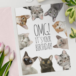 Cat Lady Birthday | OMG! Es ist dein Geburtstagski Karte