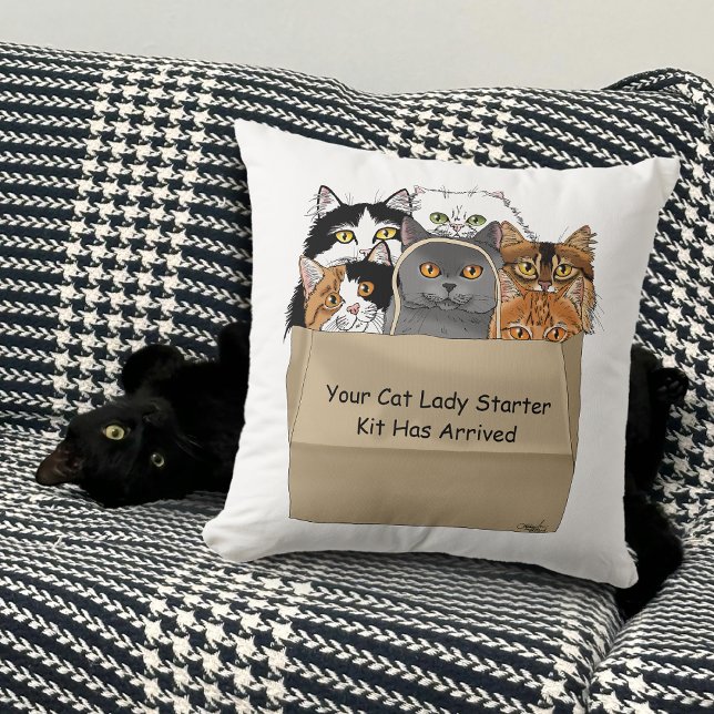 Cat Lady Starter Kit Kissen (Von Creator hochgeladen)