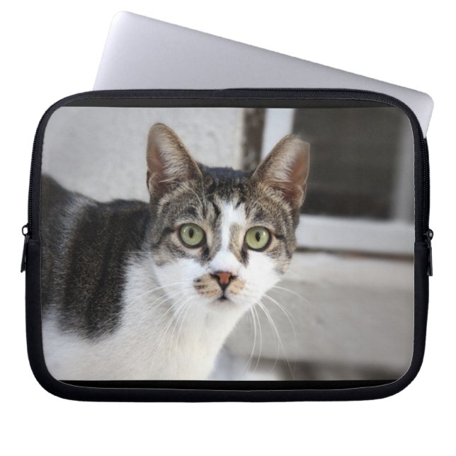 Cat Laptop Sleeve (Vorderseite)