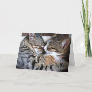 Cat Liebe Card Karte
