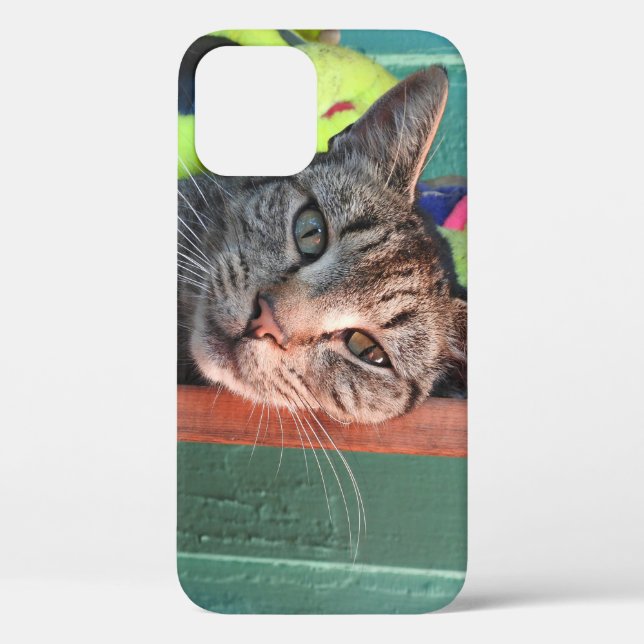 Cat-Liebe Case-Mate iPhone Hülle (Rückseite)