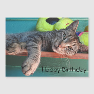 Cat Liebe Happy Birthday Magnetkarte
