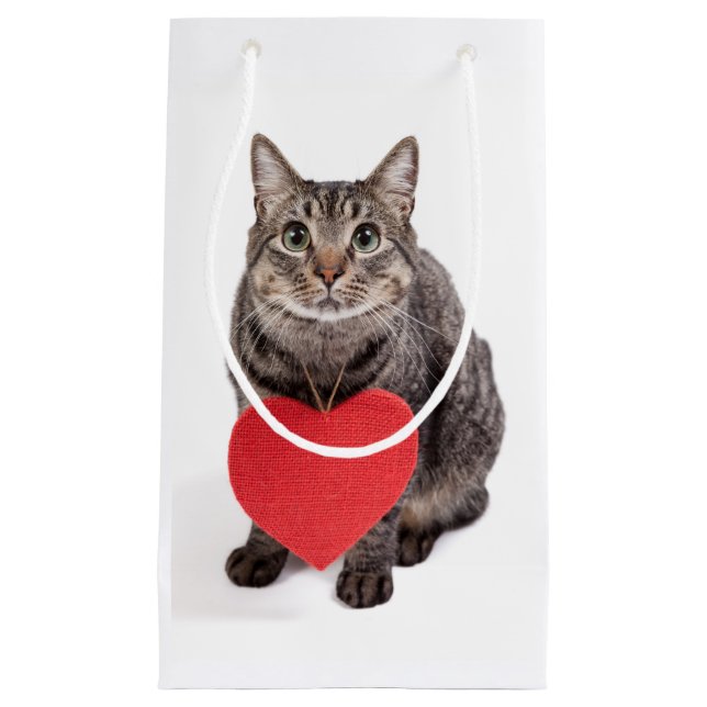 Cat-Liebe Kleine Geschenktüte (Vorderseite)
