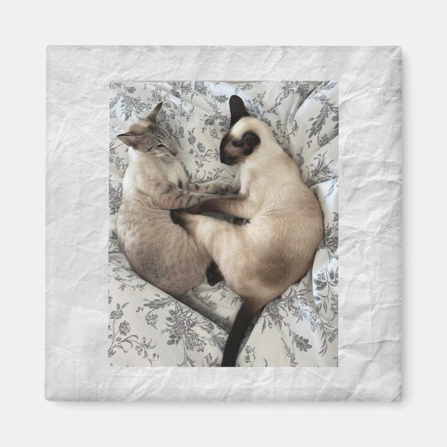 Cat-Liebe Magnet (Vorne)