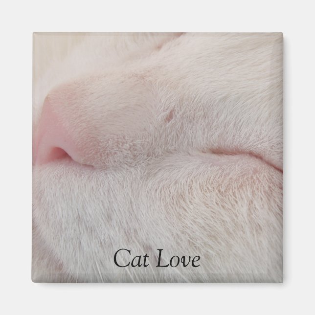 Cat Liebe Magnet (Vorne)