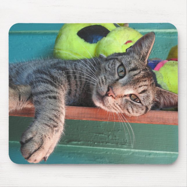 Cat-Liebe Mousepad (Vorne)