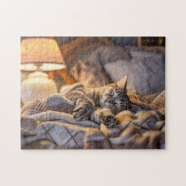 Cat lounging on couch with blanket and lamp puzzle