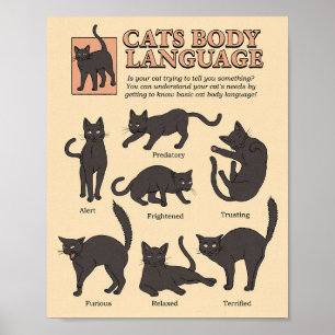 Cat Lover Cats Körpersprache Poster