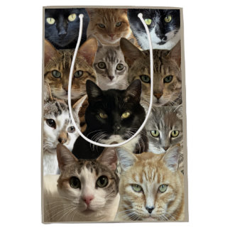 Cat Lover Geschenktasche Mittlere Geschenktüte