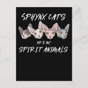 Cat Lover Gift Spirit Animal Sphynx Cat Postkarte