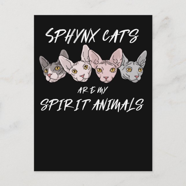 Cat Lover Gift Spirit Animal Sphynx Cat Postkarte (Vorderseite)