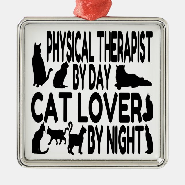 Cat Lover Physiotherapeut Silbernes Ornament (Vorne)