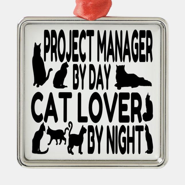 Cat Lover Projektmanager Silbernes Ornament (Vorne)