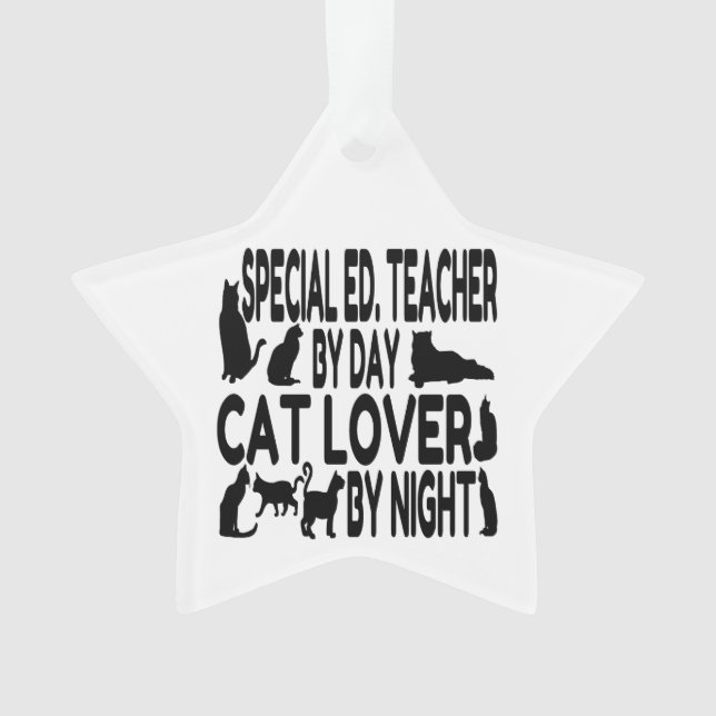Cat Lover Special Bildung Lehrer Ornament (Vorderseite)