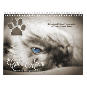 Cat Lover the Cat's Meow 12 Monate Kalender