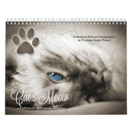 Cat Lover the Cat's Meow 12 Monate Kalender